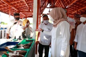 Kenalkan! Kampung Mandar Pusat Kuliner Olahan Ikan di Banyuwangi