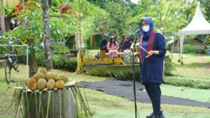 Banyuwangi Hadirkan Atraksi Musik Jazz di Belantara Lahan Durian