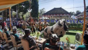 Jelang Hari Jadi Banyuwangi ke-250, Warga Napak Tilas Petilasan Prabu Tawangalun