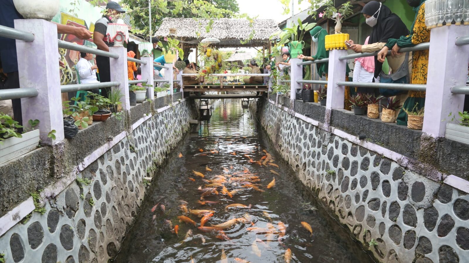 Kali Sumber Seng, Kelurahan Penganjuran, Kecamatan Banyuwangi, dulunya dikenal sungai penuh sampah dan tempat buang hajat. Kini wajah itu berubah seiring dengan perubahan perilaku warga sekitarnya. Mereka ubah sungai penuh sampah jadi sentra ikan dan tanaman pangan.