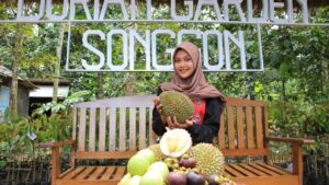 Durian Garden Songgon Banyuwangi: Mensejahterakan Petani, Membawa Durian Lokal Naik Kelas