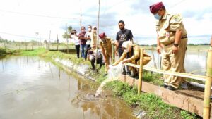 Saat Bupati Ipuk Menengok Kampung Koi Banyuwangi : Saat Digeluti Serius jadi Ladang Bisnis Baru