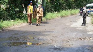 Dapat Tunjang Ekonomi di Lintas Timur, Banyuwangi Perbaiki Jalan Muncar-Blimbingsari
