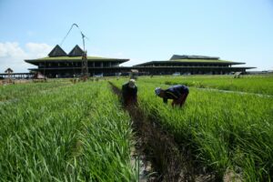 Mendagri Apresiasi Green Airport Bandara Banyuwangi
