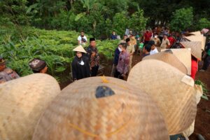 Kendalikan Inflasi, Banyuwangi Genjot Produksi Bawang Merah dan Cabai Rawit lewat Sekolah Lapang