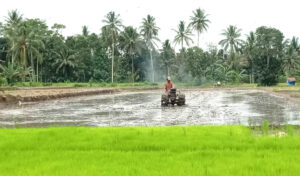 Mampu Panen Empat Kali Setahun, Organisasi Petani Malaysia Pelajari Teknologi Pertanian Banyuwangi