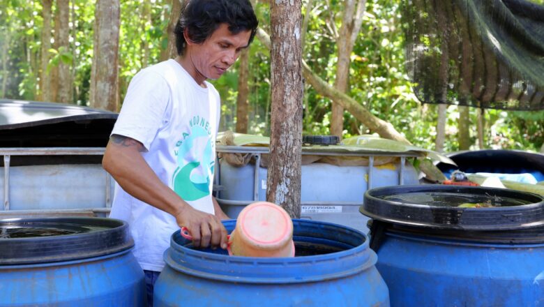 Anak Muda di Desa Banyuwangi, Tiap Hari Kelola Setengah Ton Sampah untuk Budidaya Maggot dan Pupuk Organik