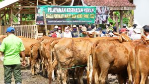 Jadi Pilot Project Sertifikasi Halal Nasional, Dua Rumah Potong Hewan di Banyuwangi Lolos Audit