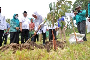32 Ribu Bibit Tanaman untuk Reboisasi Lereng Raung dan Ijen Banyuwangi