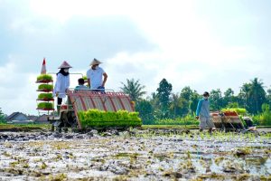 100 Tim Jagoan Tani 2023 Banyuwangi Dibekali Wawasan Agribisnis