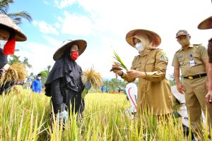 Pemkab Banyuwangi Pastikan Stok Pangan Aman, Namun Antisipasi Dampak El Nino Tetap Dilakukan