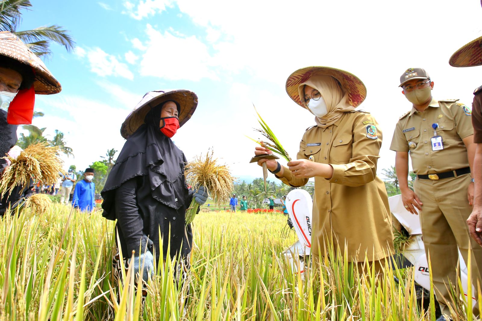 stok pangan