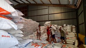 Masuk Musim Panen Padi, Harga Beras di Banyuwangi Berangsur Turun