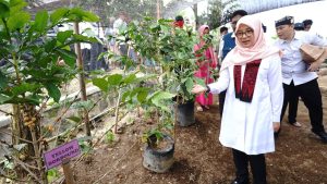 Maksimalkan Potensi Desa di Kaki Gunung Raung, Bupati Ipuk Ngantor di Desa