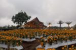 Agrowisata Tamansuruh