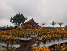 Warga Banyuwangi Kagumi Wajah Baru Agrowisata Tamansuruh