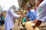 Bupati Ipuk saat serahkan bantuan domba pada peternak.