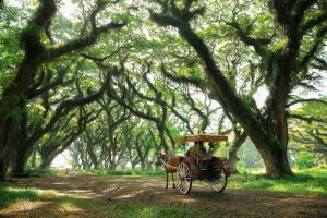 Pariwisata Banyuwangi Tumbuh 7 Persen, 3,4 Juta Wisatawan Kunjungi Kota Gandrung