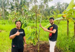 Dukung Ketahanan Pangan, Desa Kelir Banyuwangi Manfaatkan Tanah Kas Desa untuk Kebun Buah dan Peternakan