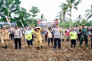 Banyuwangi Siapkan Lahan 650 Hektare, Dukung Program Penanaman Jagung Nasional