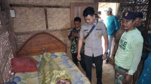 Tersambar Petir Saat Panen Jagung, Petani di Banyuwangi Meninggal Dunia