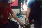 Makin Tak Biasa, Petugas Damkar Banyuwangi Bantu Warga Lepas Regulator Gas Elpiji yang Macet