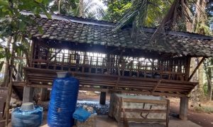 Jelang Idul Adha 2025, Ternak Warga Desa Temuasri Banyuwangi Banyak Dicuri
