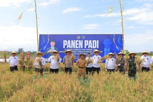 Lapas Banyuwangi Panen Padi: Warga Binaan Terlibat dalam Program Ketahanan Pangan Nasional