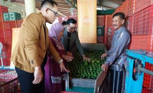 Dari Sopir ke Juragan Buah: Kisah Pasangan Banyuwangi Suplai Jeruk hingga 4 Ton per Minggu