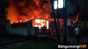 Kucing Selamatkan Pasutri dari Kebakaran Bengkel Ban di Banyuwangi