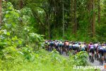 Etape Tiga Tour de Banyuwangi Ijen 2025: Uji Fisik Jelang Tanjakan Legendaris Gunung Ijen
