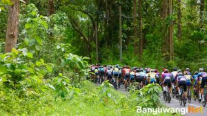 Etape Tiga Tour de Banyuwangi Ijen 2025: Uji Fisik Jelang Tanjakan Legendaris Gunung Ijen