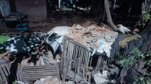 Gempa 5,7 SR Guncang Banyuwangi, 7 Bangunan Rusak di Wongsorejo