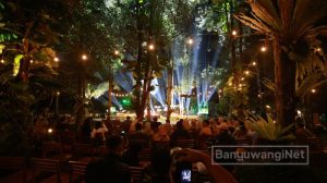 Festival Musik Tepi Sawah Banyuwangi, Harmoni Alam dan Musik di Kaki Gunung Ijen