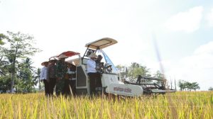 Pupuk Kaltim dan Pemkab Banyuwangi Dorong Swasembada Pangan Lewat Panen Demplot Padi