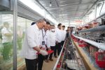 Menko Pangan RI Panen Brokoli dan Tinjau Program Ketahanan Pangan PNM di Kopeng