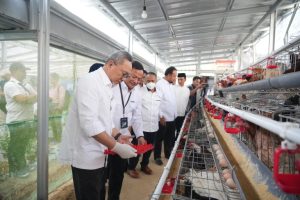 Menko Pangan RI Panen Brokoli dan Tinjau Program Ketahanan Pangan PNM di Kopeng