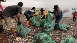 Pemkab Banyuwangi dan Sungai Watch Gelar Big Clean Up, Angkut 2,4 Ton Sampah dari Pesisir Sampangan