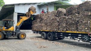 TPS 3R Banyuwangi Ubah Sampah Plastik Jadi RDF, Pasok 60 Ton untuk Industri