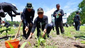 Dorong Reforestasi, Banyuwangi Tanam 200 Ribu Pohon Cegah Bencana Hidrometeorologi