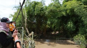 Cek Banjir di Muncar, Bupati Ipuk Instruksikan Pembersihan Drainase dari Sampah