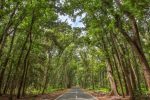 Taman Nasional Alas Purwo Banyuwangi Ditutup Dua Hari Saat Idulfitri 2026