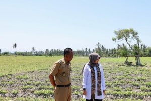 Antisipasi Dampak El Nino, Banyuwangi Siapkan Satgas Kemarau dan Pemetaan Rawan Kekeringan