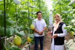 Regenerasi Petani Banyuwangi: Kisah Sukses Milenial dari Greenhouse hingga Integrated Farming