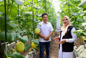 Regenerasi Petani Banyuwangi: Kisah Sukses Milenial dari Greenhouse hingga Integrated Farming