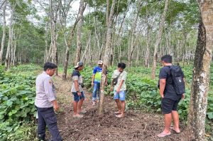 Polresta Banyuwangi Tangkap Pelaku Pencurian Sapi Beserta Penadahnya