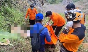 Nenek 78 Tahun Hilang di Kebun Banyuwangi Ditemukan Meninggal