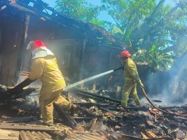 Lupa Mematikan Obat Nyamuk Bakar, Rumah Lansia di Wongsorejo Banyuwangi Ludes Terbakar