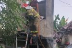 Bangunan Tandon Air di Tengah Perkampungan Terbakar Saat Pemilik Tidak Ada di Rumah