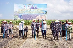 TNI AL dan Pemkab Banyuwangi Garap 1.200 Hektare Kedelai, Perkuat Swasembada Pangan Nasional